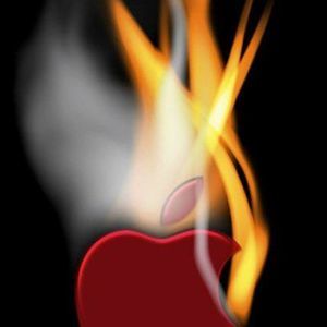 Meet your Posher, Bronx